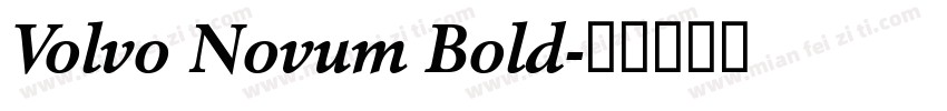 Volvo Novum Bold字体转换